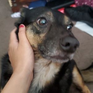 Meet your Posher, Christina